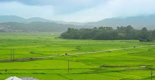 Ziro Valley Travel Guide (2026): Complete Detailed Tourism Blog for First-Time Visitors