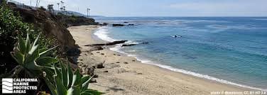 Laguna Beach State Marine Reserve
